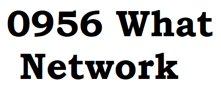 0956 What Network